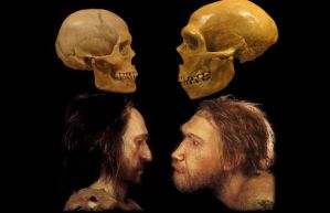 un homo di Neanderthalensis e un homo Sapiens a confronto