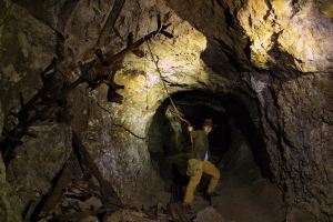 10477844_10153036239064472_2137629168102537487_o