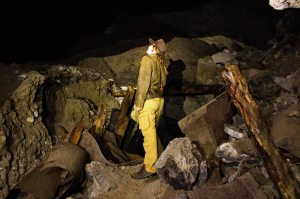 10982305_10153036237589472_1715660124630469679_o